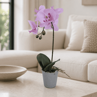 Dekorative Hochwertige Künstliche Orchidee im PEVA-Material-Topf für Innenräume, Tische und Theken