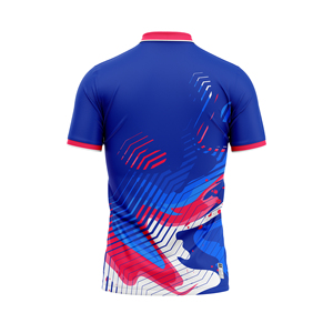 Ensembles de polo en spandex/polyester sans couture imprimé par sublimation personnalisée-Short à col ras du cou qui évacue la transpiration, extensible dans les quatre sens à séchage rapide - Product Image 2