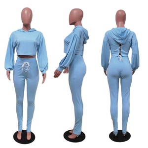 Conjunto de dos piezas de otoño invierno de muestra gratis, chándal de terciopelo, chándal de terciopelo polar tecnológico para mujer, traje de jogging bordado - Product Image 1