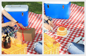 Classic PE/PP Refrigerator Food & Beverage Cooler <b>Box</b> for Outdoor <b>Camping</b> with Portable Modern Multi-Functional 21L - Product Image 5