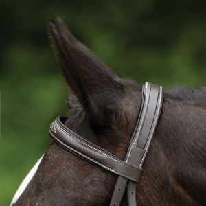 Fabricante y Mayorista de Artículos Ecuestres de Cuero de Alta Gama, Línea de Productos de Equipo para Caballos - Product Image 4