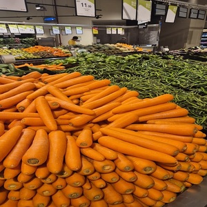 Carottes Biologiques Fraîches au Goût Sucré à Prix Abordable – Grossiste Agricole Offrant un Service Après-Vente Exceptionnel - Product Image 4