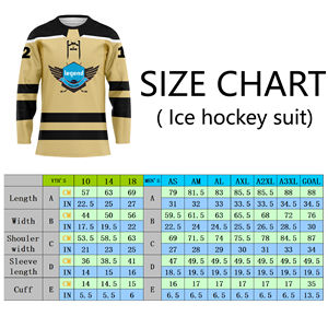 Maillot de hockey sur glace personnalisé unisexe en polyester avec broderie en twill, uniforme d'équipe, fournisseur OEM en gros - Product Image 4
