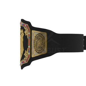Ceinture de championnat en cuir écologique personnalisable, légère et durable, pour l'entraînement aux arts martiaux - Product Image 4