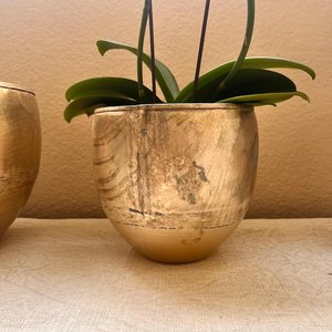 Ensemble de pots en métal doré avec une plante verte feuillue dans un style bol, récipients décoratifs pour usage intérieur et extérieur - Product Image 5