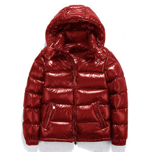 <b>Silver</b> Hooded Puffer <b>Jacket</b> Regular Fit Zipper Closure Windproof Thick Winter Coat Casual Style Unisex - Product Image 6