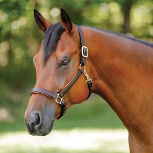 Harnais de polo en cuir d'Argentine, robuste et réglable, en cuir et nylon, durable et adapté à toutes les saisons, équipement équestre, designs personnalisés - Product Image 1