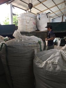 PÓLDORO DE ALGA VERDE SECADA PURA / ALGA ULVA LACTUCA DE VIETNAM / Sra. Elysia - Product Image 5