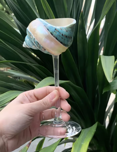 Tazón de Concha Natural Ecológico Hecho a Mano para Joyería, Manualidades y Decoración del Hogar - Product Image 4