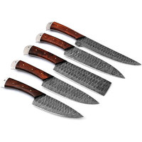 Ensemble de couteaux de chef en acier inoxydable durable, manche en bois, lames multifonctionnelles, extra-affûtées, ambidextres, compatibles lave-vaisselle, pour aliments