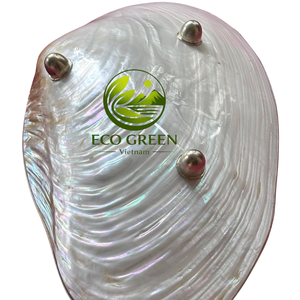 Plato de Nácar Perfecto para Comida y Desayuno, Bandeja de Concha Hecha a Mano, Vajilla Premium, Decoración para el Hogar, Regalo de Vietnam - Product Image 5