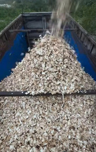 Copeaux de bois d'acacia HKD NGUYEN HONG HANH 89, paillis naturel pour aménagement paysager, approvisionnement en vrac Vinh Phuc - Product Image 6