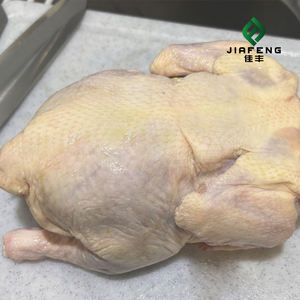 <span class=keywords><strong>Poulet</strong></span> <span class=keywords><strong>entier</strong></span> surgelé, best-seller, haute qualité et prix bas - Product Image 4