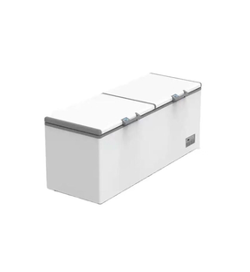 Congélateur commercial 1000L, congélateur coffre industriel avec compresseur robuste, construction en acier inoxydable - Product Image 2