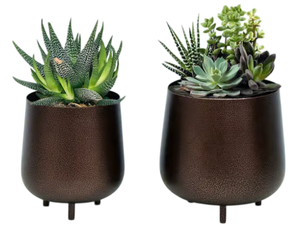 Juego de 2 Macetas Metálicas Marrón Oscuro para Suculentas con Patas Cortas, Decorativas para Interiores, Hogar, Oficina y Decoración de Mesa Moderna - Product Image 6