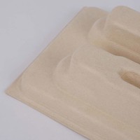Plateau en papier moulé naturel biodégradable pour produits cosmétiques, de soin et de parfumerie