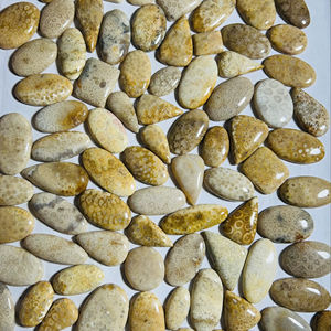 Piedras Preciosas Naturales 100% Sueltas, Coral Curativo, Forma Mixta, Tamaño Personalizado, Alta Calidad, Certificadas por Terceros, Trimurti Gems, Joyería de Rajasthan - Product Image 1