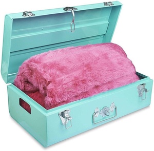 Vintage Aqua Blue Metal Trunk <b>Storage</b> Box Heavy-Duty Silver Toggle Latch Keepsake <b>Chest</b> - Product Image 5