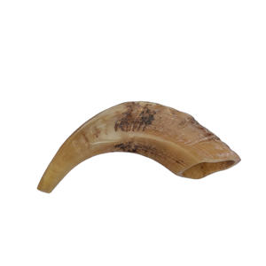 Shofar de Cuerno de Carnero Auténtico Hecho a Mano con Acabado Pulido, Instrumento Espiritual Tradicional para Rituales, Ceremonias y Oraciones - Product Image 1