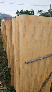 Vietnam <b>Eucalyptus</b> Rotary Cut Veneer Durable & Eco-Friendly 1270x640mm for Plywood Manufacturing - Product Image 4