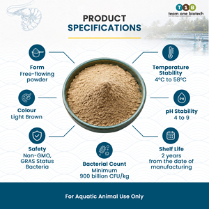 Bactériophage pour l'alimentation des crevettes, contrôleur de Vibrio pour l'aquaculture commerciale - Product Image 4