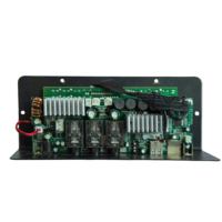 EX 666 12V Stereo Amplifikatör Kartı 50W*2 TPA3116D2 Çift Mikrofon Gitar Girişi USB TF AUX Kayıt Vokal İptal Güç Amplifikatörü Modülü