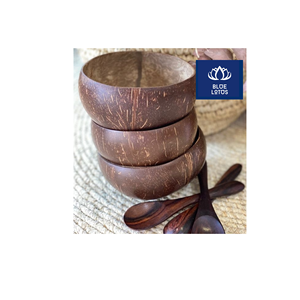 Bol en Coque de Noix de Coco Écologique Pur et Sûr, Idéal pour Servir des Salades et Stocker des Collations - Meilleure Vente - Product Image 1