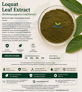 Suministro directo de fábrica de HGO hoja de níspero natural pura/extracto de hoja de Eriobotrya Japonica (grado alimenticio) Ácido corosólico 1% - Product Image 2