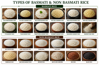 Beras Putih Butir Panjang Tekstur Lembut Kering Gaya Basmati India Pasokan Massal Gujarat 5% Pecah Beras Basmati India Butir Panjang Kukus