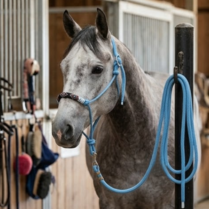 Laisse d'entraînement professionnelle bleu clair, tressée à la main, avec muserolle à 4 brins, nœud Fiador et boucle, équipement équestre pratique - Product Image 3