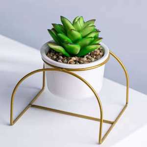 Pot carré moderne en céramique pour plantes succulentes, blanc avec support en métal doré, design minimaliste pour plantes de bureau - Product Image 2