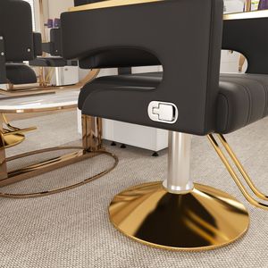Chaise de barbier hydraulique professionnelle pivotante à 360 degrés avec accoudoirs réglables en acier inoxydable et dossier inclinable - Product Image 6