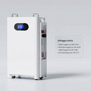 Sistema de Almacenamiento de Energía Doméstico Rentable con Batería de Litio Solar de 48V 200AH 51.2V 15kWh 16kWh para PowerWall 100AH, Grado A - Product Image 2