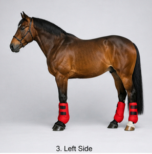 <b>Equestrian</b> Horse Riding Neoprene Medicine Boots Breathable Shock Absorbing Durable Leg Protection OEM Custom Service - Product Image 3