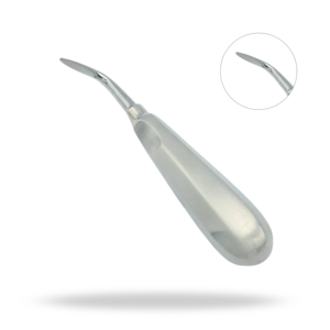 Instrument dentaire vétérinaire à tête ronde de 7 pouces pour l'élévation des dents équines - Product Image 1