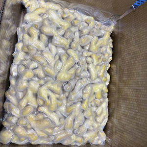 Jengibre Congelado a Granel, Raíz Entera, Rizoma Seleccionado para Cocina Industrial y Fabricación de Alimentos, Origen Vietnam - Product Image 1
