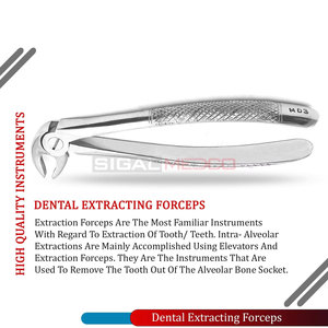 Pinzas de Extracción SM-DS-0386 de Acero Inoxidable Alemán, Instrumentos Manuales para Extracción Dental de Incisivos Inferiores, Caninos, Bicánidos y Raíces - Product Image 3