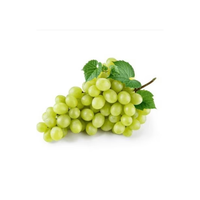 Verse Groene Druiven Premium Kwaliteit 100% Natuurlijk Sappig Zoet voor Groothandel en Wereldwijde Exportmarkten
