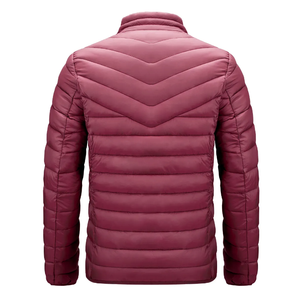Blouson matelassé pour homme, fermeture éclair intégrale, couleur unie, chaud pour l'hiver, streetwear, mode décontractée, vêtements d'extérieur - Product Image 3