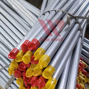 Vietnam Usine Directe 120cm Eucalyptus Bois Balai Durable Signalisé Poils En Plastique Souple Poignée Couleur Personnalisée Maison - Product Image 6