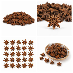 Delicious Competitive Price Hot Sale Factory In Vietnam Premium Quality Star Anise Customized Packaging - Product Image 6