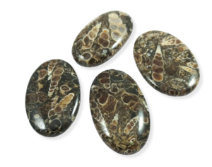 Natural Turritella Agate Gemstone Customize Size Loose Precious Turritella Agate Cabochon Mix Shape Loose Cabochon - Product Image 4
