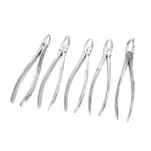 Ensemble de forceps manuels chirurgicaux dentaires en acier inoxydable de haute qualité, réutilisables, classe I, garantie 1 an - Product Image 5