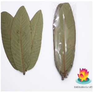 YAMUNA Hojas de Guayaba Secas Naturales Ecológicas de Menos de 10 cm/3.93 Pulgadas para Acuario, Paquete de 20 Hojas - Product Image 2