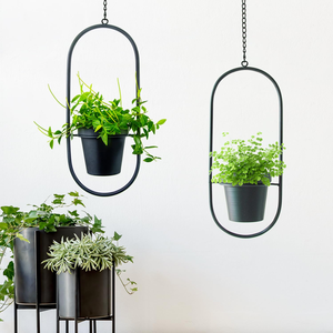 Jardinières murales en métal, décoratives et élégantes pour l'intérieur, pots à fleurs pour fournitures de jardinage - Product Image 6