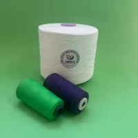 Fil à coudre en polyester filé à la main TFO 22s/4 24s/2 blanc brut haute ténacité, écologique, pour broderie