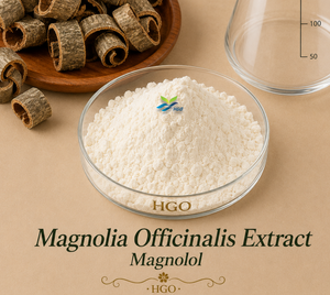 Hgo สารสกัดจากแมกโนเลีย officinalis (เกรดอาหาร) 90% แมกโนเลีย (สารสกัดมาตรฐาน) - Product Image 1