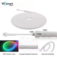 Tira de Luces LED RGBIC WS2812B de 5V CC, 360 Grados, IP67 Impermeable, Direccionable, Tubo Redondo para Decoración de Habitaciones de Juegos y Proyectos DIY