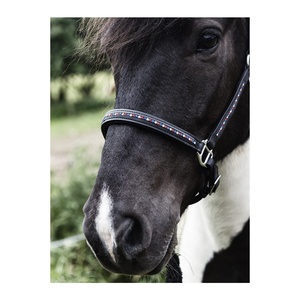 Cabestro de Cuero Ecuestre para Caballos de Primera Calidad, Duradero y Personalizable, Diseño Acolchado Hecho a Mano, para Caballos Islandeses - Product Image 3