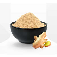 Poudre de gingembre naturelle de haute qualité, 100% pure, poudre de racine de Zingiber Officinale séchée pour usage alimentaire, à base de plantes, ayurvédique, vente en gros